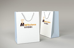 米子簡(jiǎn)餐外賣(mài)包裝盒手提袋